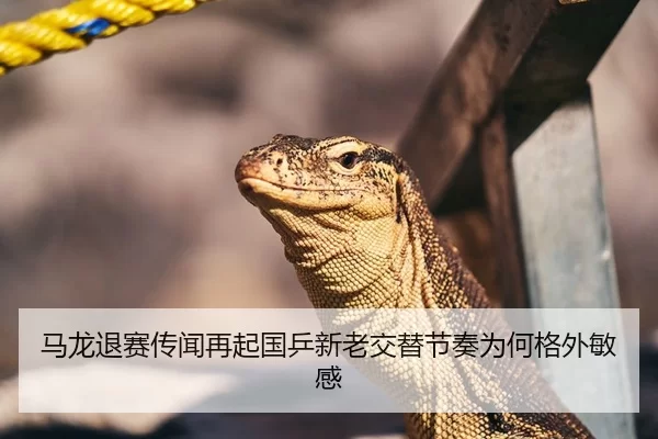 马龙退赛传闻再起国乒新老交替节奏为何格外敏感